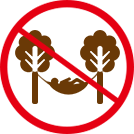 場内の木にハンモックを吊るすこと